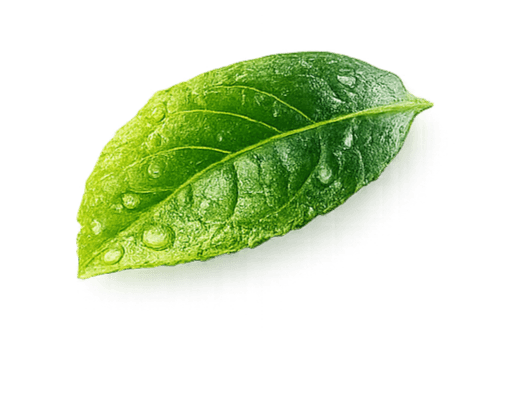 leaf decoration