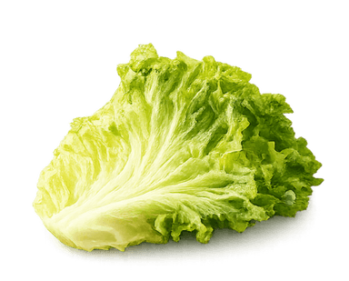 Lettuce