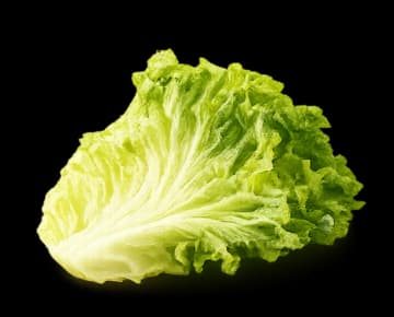 Lettuce