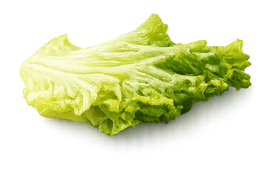Lettuce