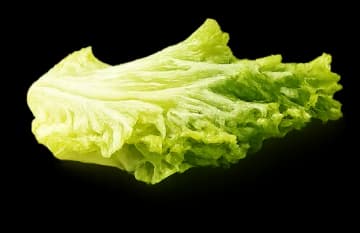 Lettuce