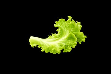 Lettuce